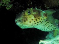 /album/egypt-2007/egypt-349-jpg/